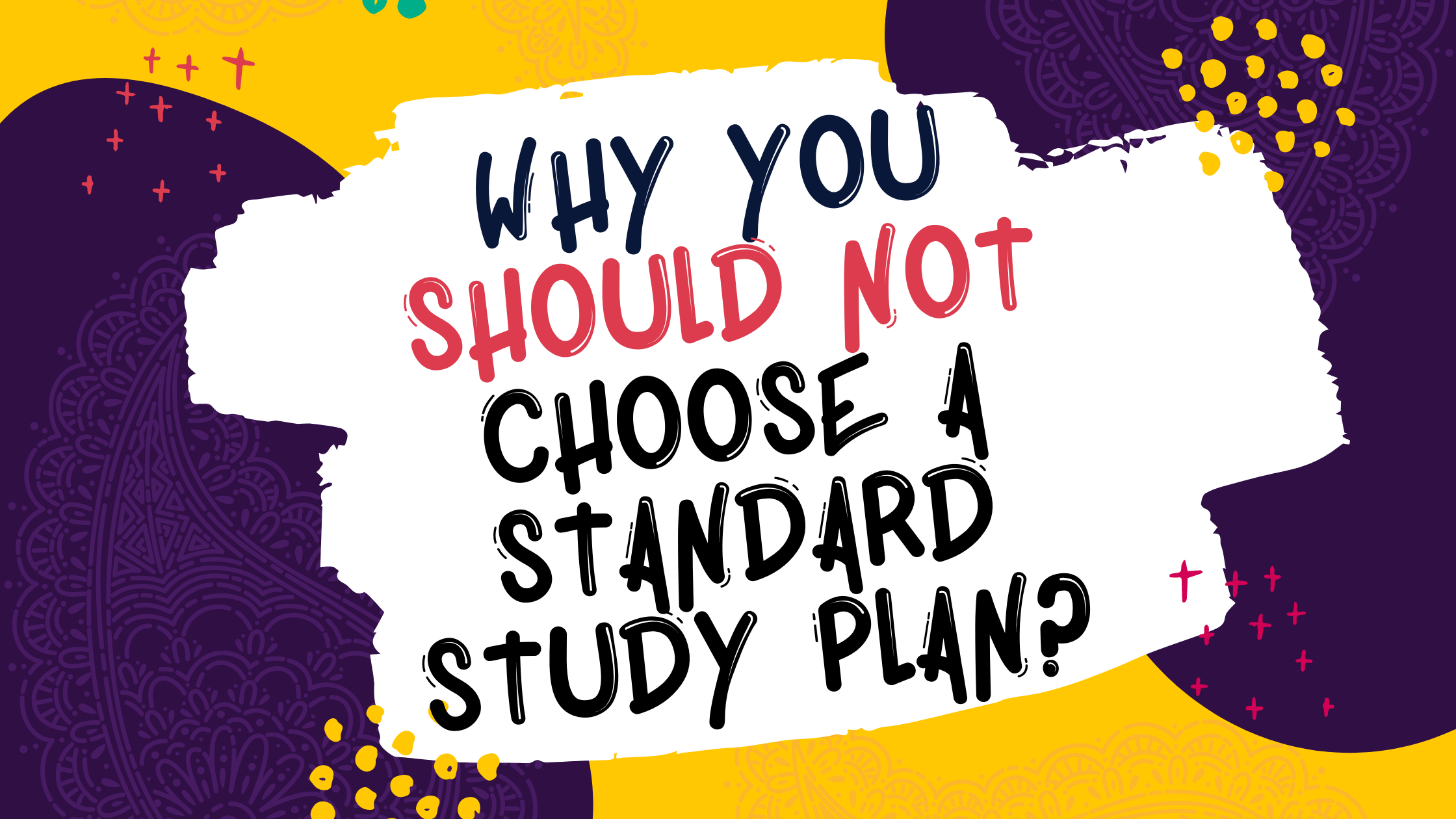 Why you should not choose a standard study plan?